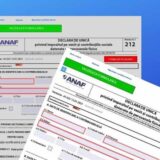 contabilitate online Cluj - depunere declaratie unica